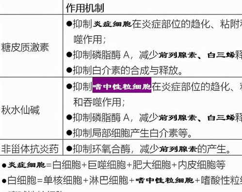 设计方案里的止痛是什么[止痛机制]