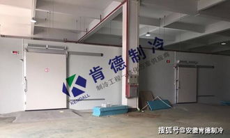 西安速冻冷库设计方案公司[西安速冻冷库设计方案公司有哪些]