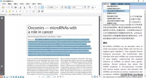 设计方案翻译成英文设计图怎么做的呢怎么写,设计方案翻译成英文设计图怎么做的呢怎么写