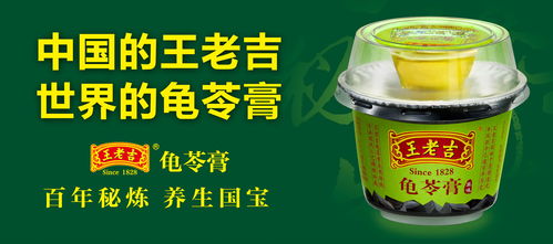 龟苓膏创业设计方案[龟苓膏营销策划分析案例]