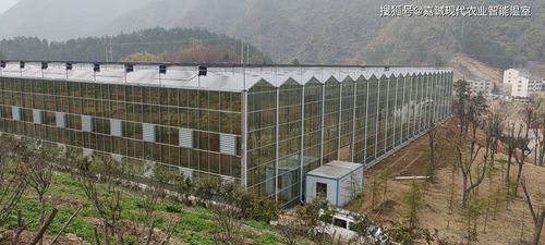 景观温室设计方案[景观温室设计方案模板]