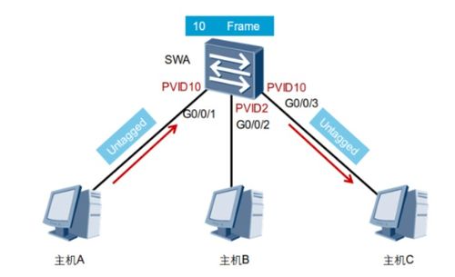 项目设计方案表[项目方案设计主要包括]