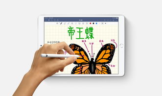 苹果教育优惠官网,苹果教育优惠官网网址