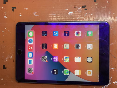 ipadmini5参数,ipadmini5参数配置