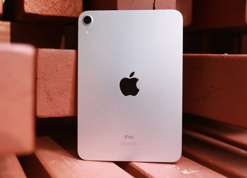 ipadmini,ipadmini4参数配置