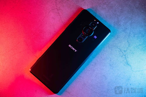 xperiapro,XperiaPROI raw格式多大