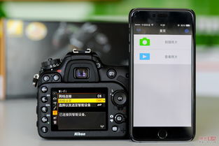 尼康官网下载app,尼康官网下载appSnapBridge204