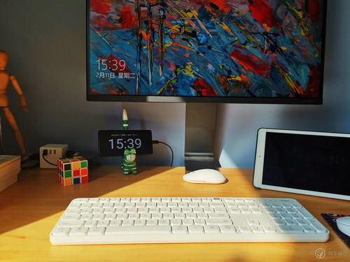 monitor,monitoring