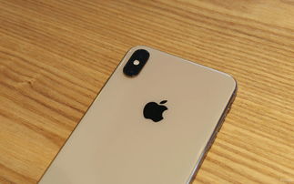 iphonexsmax屏幕尺寸,61寸和67寸屏幕对比