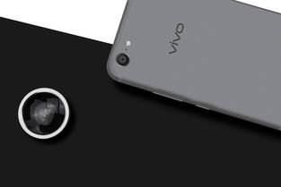 x9plus参数,vivox9为什么称为神机