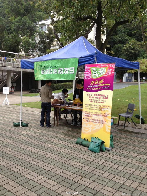 activities,activities翻译成中文