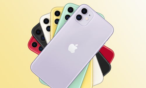 苹果iphone11,苹果iphone11换电池多少钱