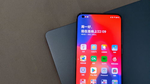 小米图片大全,黄金小米图片大全