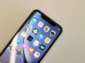 iphonexr价格,iphonexr价格走势曲线
