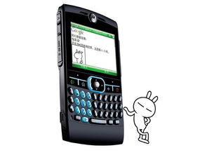 摩托罗拉q8,摩托罗拉q8手机报价