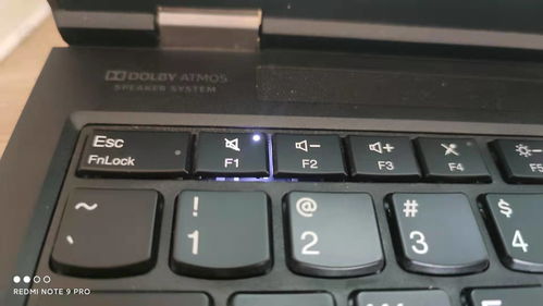 thinkpadp53,Thinkpadp53触摸屏
