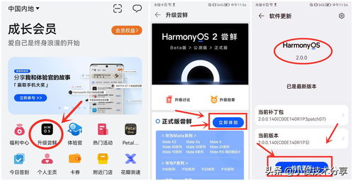 华为鸿蒙系统升级名单,华为鸿蒙系统升级版