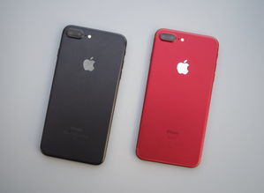 iphone7plus最新报价,iphone7plus 价格