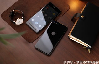 锤子坚果r1,锤子坚果r1用的什么屏幕