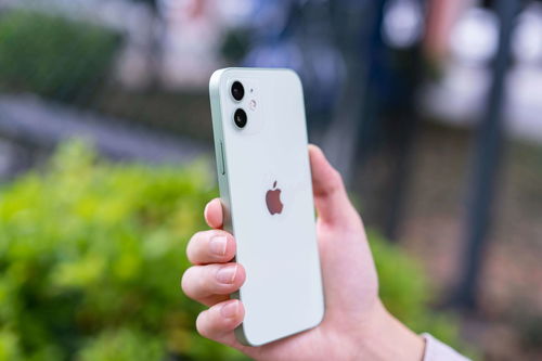 iphone最新款手机,iphone最新款手机是几