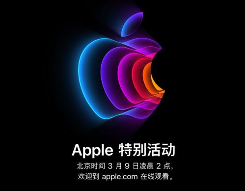 2022即将发布的新品手机,2021即将发布的新品手机