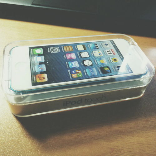 ipodtouch6,iPOdtOuch6为什么下不了微信