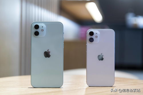iphone从1到13图片,从苹果1到苹果11的图片