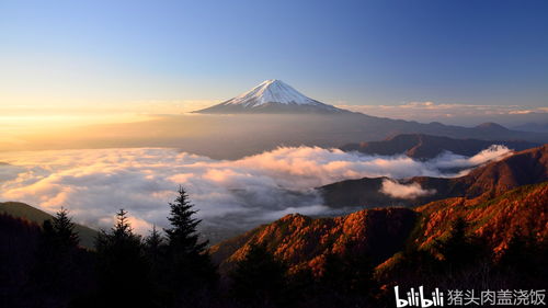 富士苹果和富士山有关系吗,富士苹果好吗