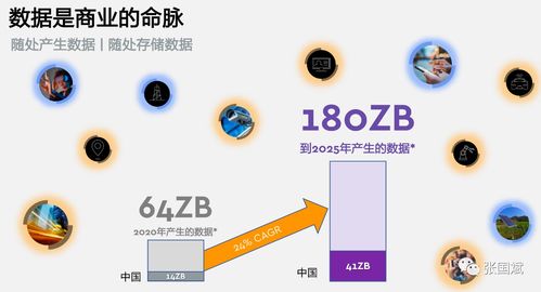 西部数据中国官网,西部数据中国官网查询
