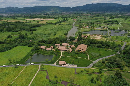 conservation,conservation翻译