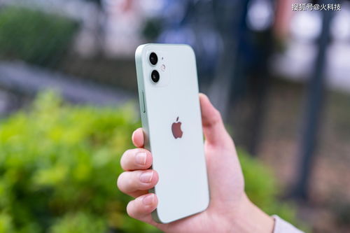 iphone12大概多少钱,iphone12多少钱?