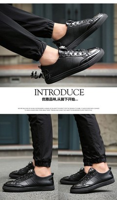 introduce,introduced
