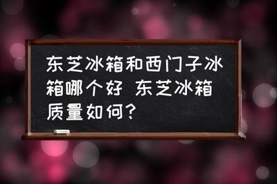 东芝冰箱质量怎么样,东芝冰箱质量怎么样,排名如何