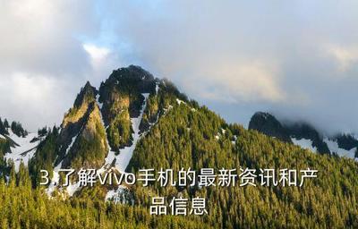 vivo官网登录入口,vivo官网登录入口丢失手机号怎么解绑