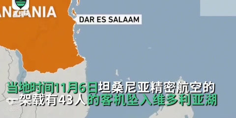 坦桑尼亚飞机坠毁,坦桑尼亚航空空难