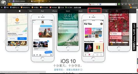 苹果手机查询真伪,苹果手机查询真伪电话