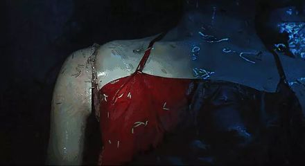 在线视频观看免费视频22,夺冠在线视频免费观看