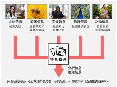 佳能ixus系列对比,佳能ixy和ixus哪个好