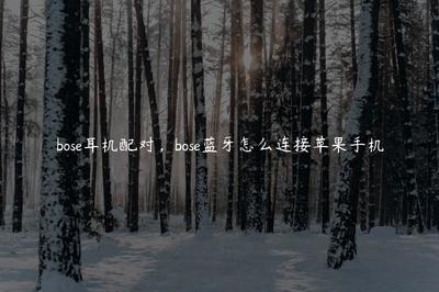bose蓝牙耳机使用说明,bose蓝牙耳机操作