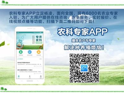 苹果官方人工在线咨询,苹果官方人工服务热线24小时