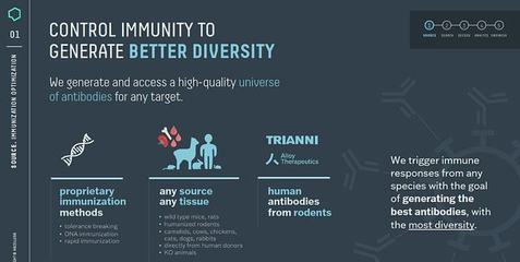 diversity,diversity and inclusion翻译