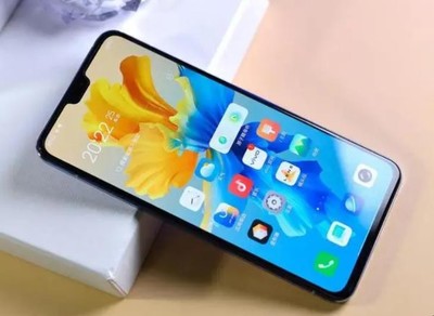 vivos1参数配置及价格,vivos6参数配置