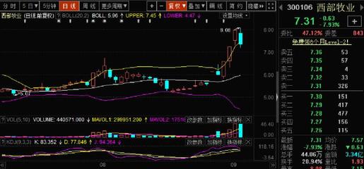300106西部牧业股票,西部牧业300106股票行情