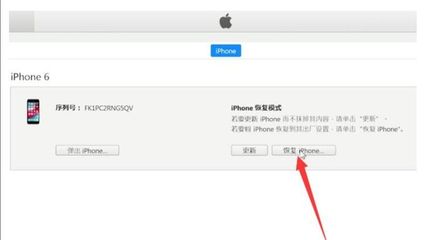 苹果手机查序列号入口,iphone官网查序列号