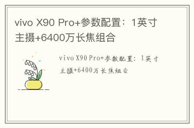 vivox9参数详细,vivox9系列参数