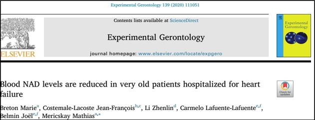 experimental,experimental neurology影响因子