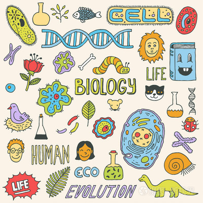 biology,biology什么意思
