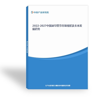 波导公司现状,波导公司现状2019