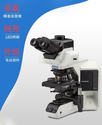奥林巴斯显微镜,奥林巴斯显微镜型号