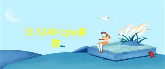 i33240cpu参数,i33240cpu参数支持h61主板吗